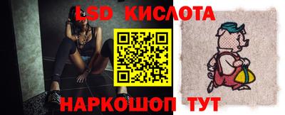 прущие грибы Заводоуковск