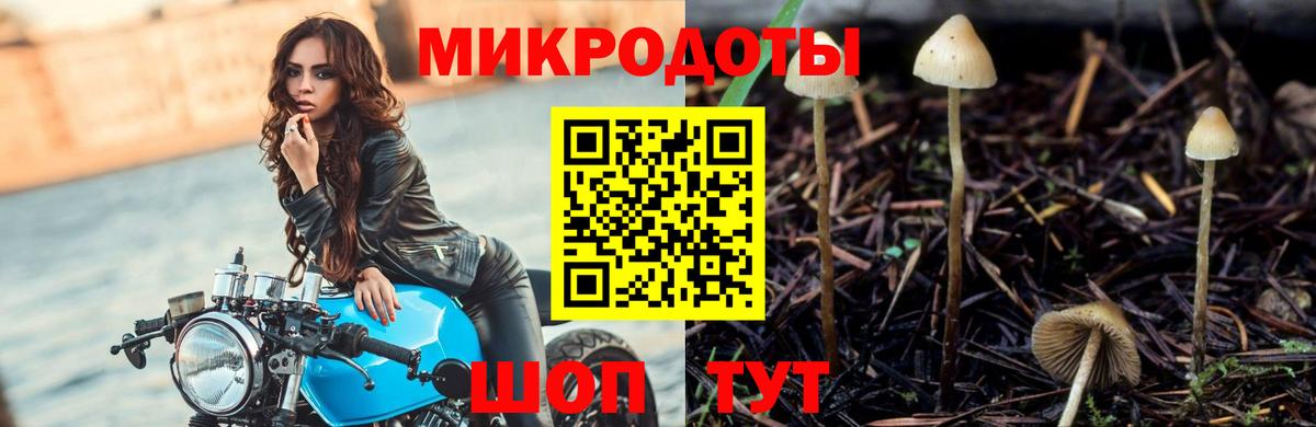 Галлюциногенные грибы Psilocybe  Вход с VPN  Муравленко 